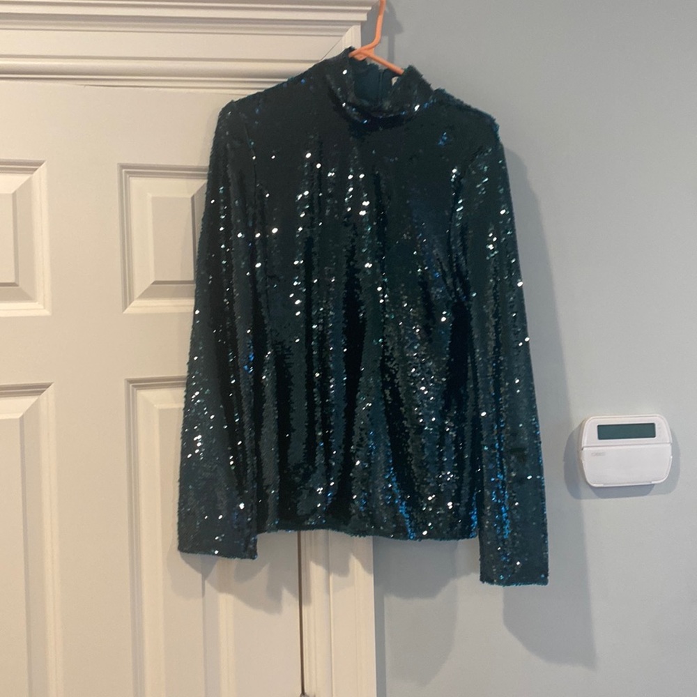 Zara sequin top